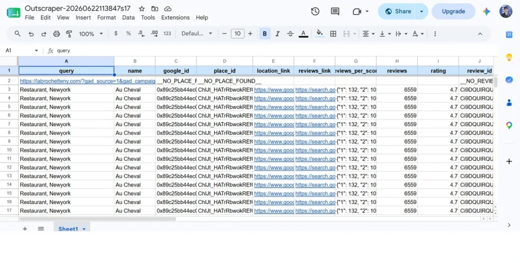 Example exported Google Maps reviews spreadsheet grouped by business, rating, review date, owner response, and repeated complaint themes.