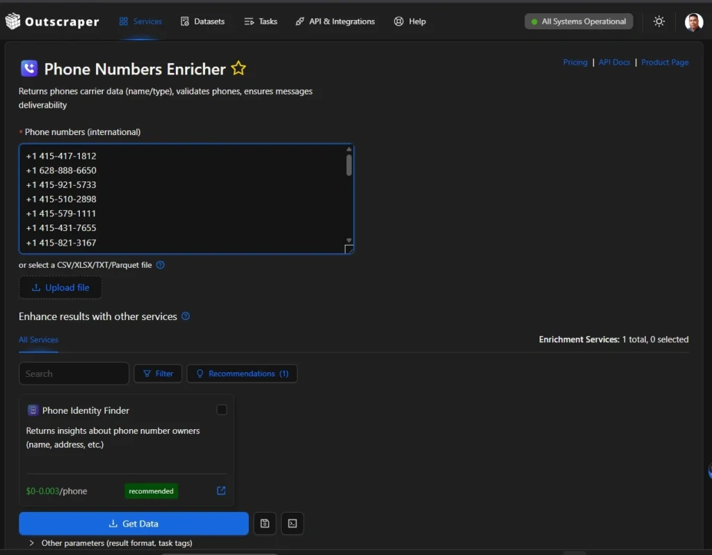 Standalone Phone Numbers Enricher app with phone number input and file upload options